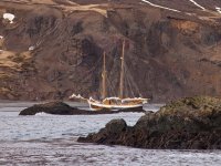 Whale Watching - North Sailing