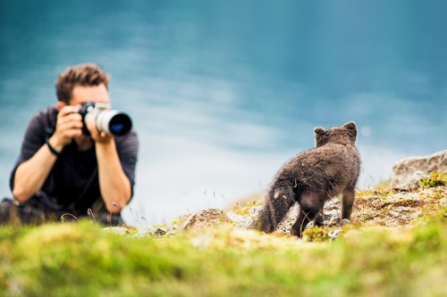 Photo tours in Iceland