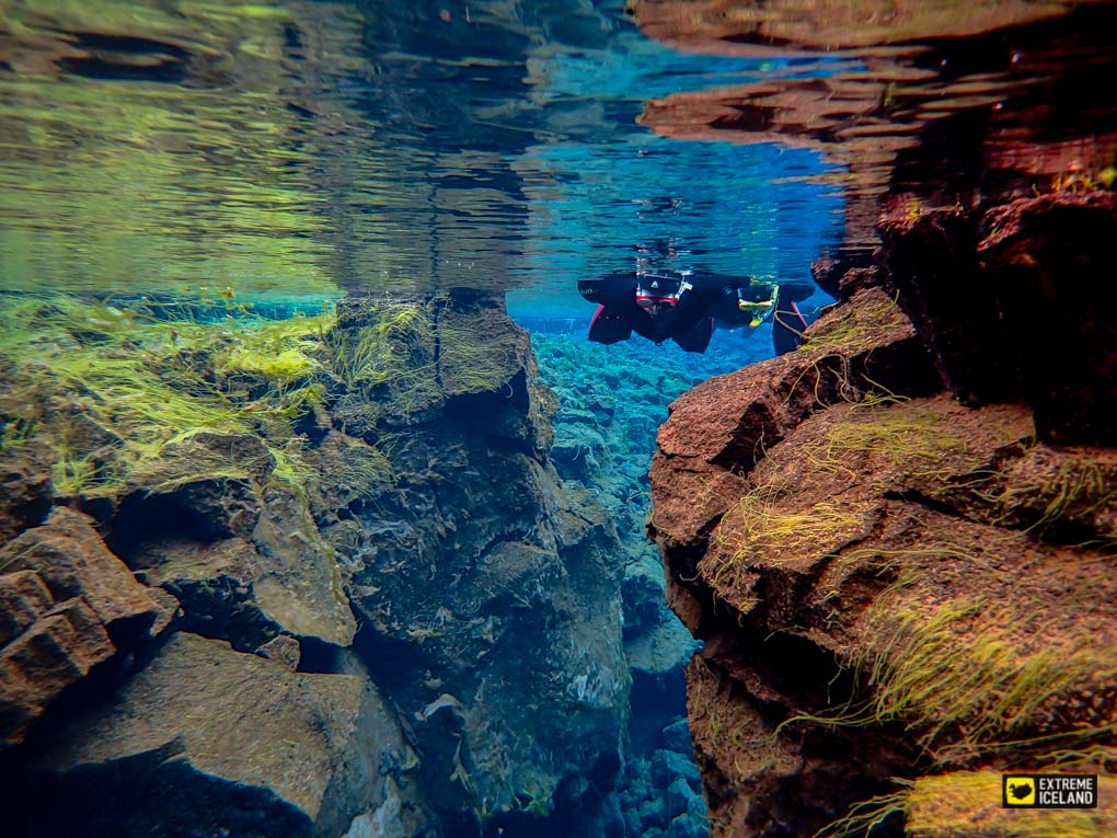 史费拉裂缝浮潜团 - 辛格维利尔国家公园