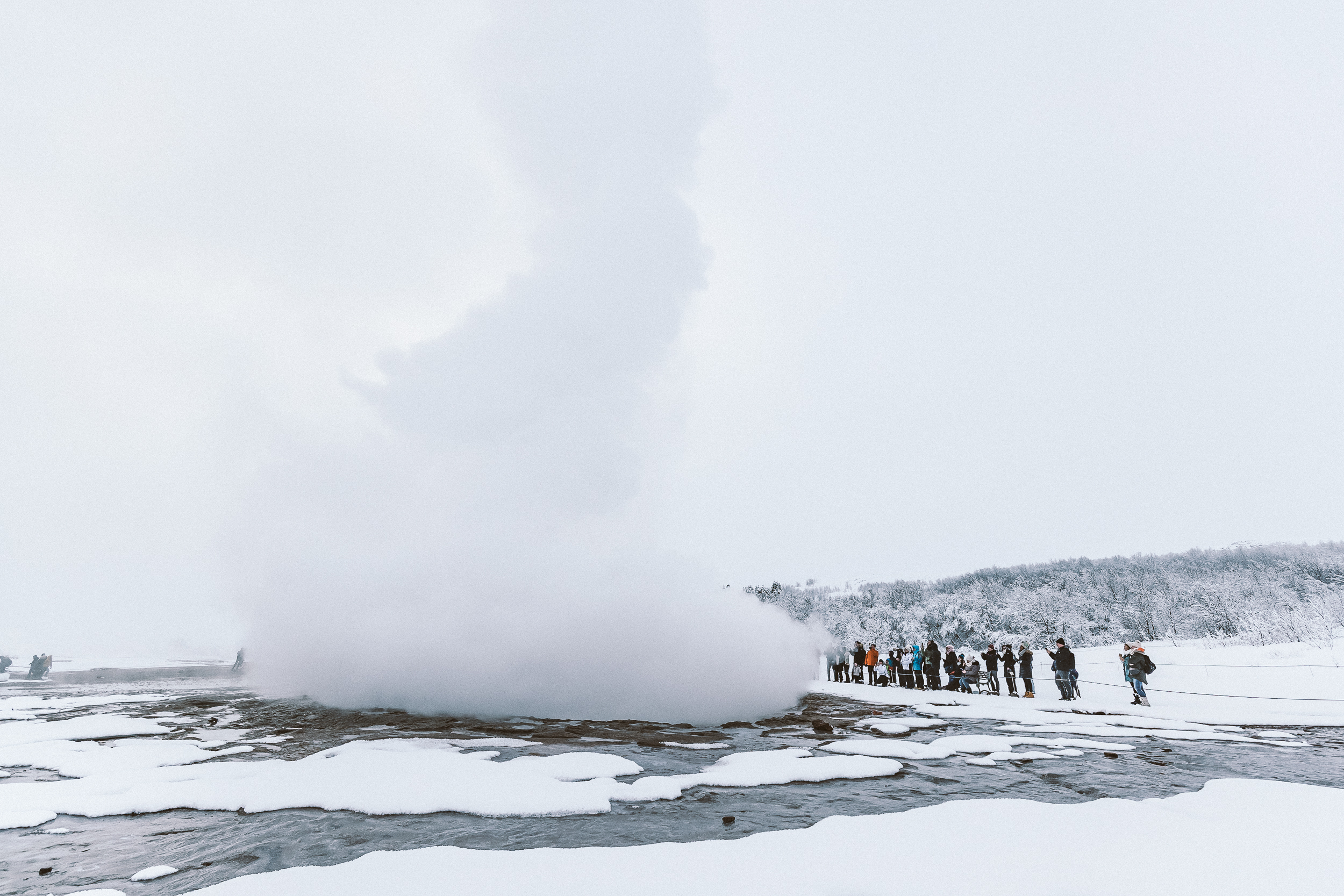 Guided scheduled tours